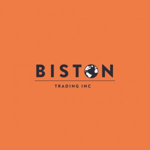 Biston Trading web design and UX