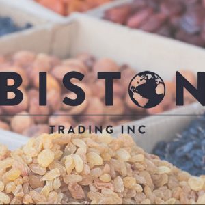 Biston Trading project thumbnail